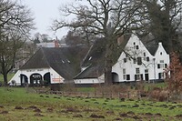 IMG_8495