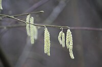 IMG_8510