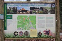 IMG_8520