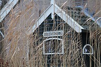 IMG_8523