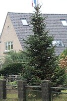 IMG_8528