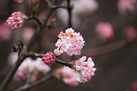 IMG_8538