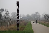IMG_8539
