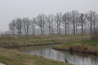 IMG_8541