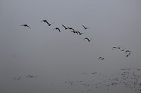 IMG_8543