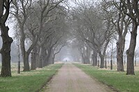 IMG_8549