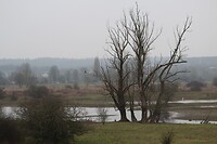 IMG_8554