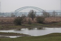 IMG_8557