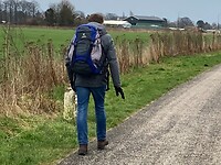 IMG_1306