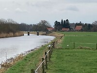IMG_1311