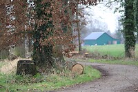 IMG_8579