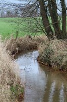 IMG_8580