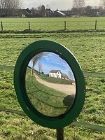 IMG_1463