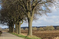 IMG_8679