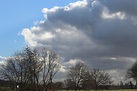 IMG_8682