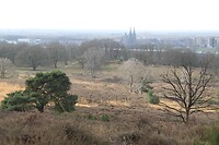IMG_8684