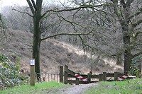 IMG_8685