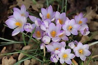 IMG_8687