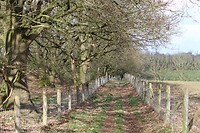 IMG_8695