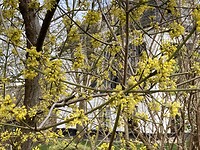 IMG_1588