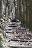 IMG_8705