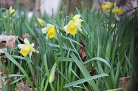 IMG_8709