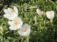 IMG_1730