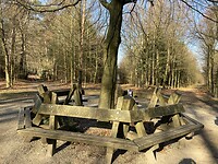 IMG_1869