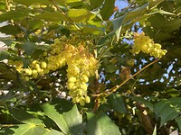 IMG_1877