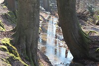 IMG_9319