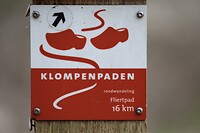 IMG_9338