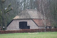 IMG_9343
