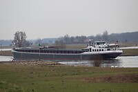 IMG_9372