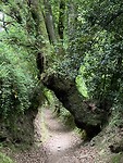 IMG_4589