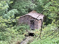IMG_4593
