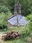 IMG_4595