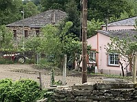 IMG_4609