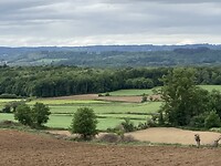 IMG_4613