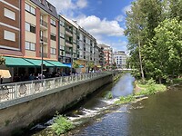 IMG_4615