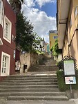 IMG_4621