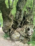 IMG_4660