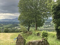 IMG_4664