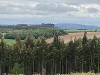 IMG_4756