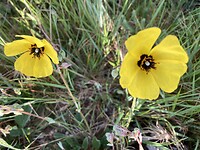 IMG_4750