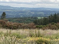 IMG_4751