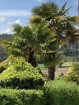 IMG_4844