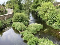 IMG_4804