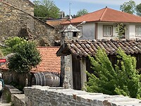 IMG_4805