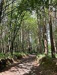 IMG_4828