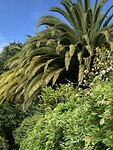 IMG_4863
